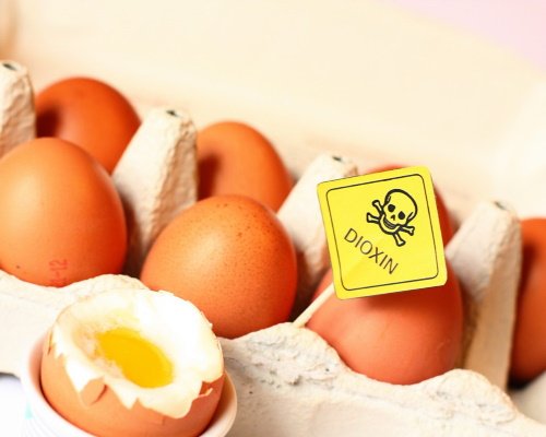 Eggs contaminated with Dioxin have been marketed and must be withdrawn.