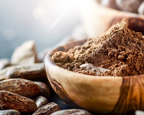 Poudre et fèves de cacao de haute qualité