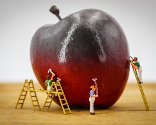 People are covering an apple to fake a shinier skin.