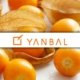 Lascom's PLM solution at Yanbal International